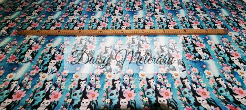 Világoskék alapon cicák oxford