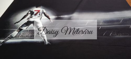 Labdarugó Paneles Elasztikus Pamut Jersey