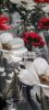 Mohn Elastischer Baumwolljersey