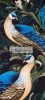 Peacocks French Terry