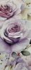 Purple Roses Cotton Jersey